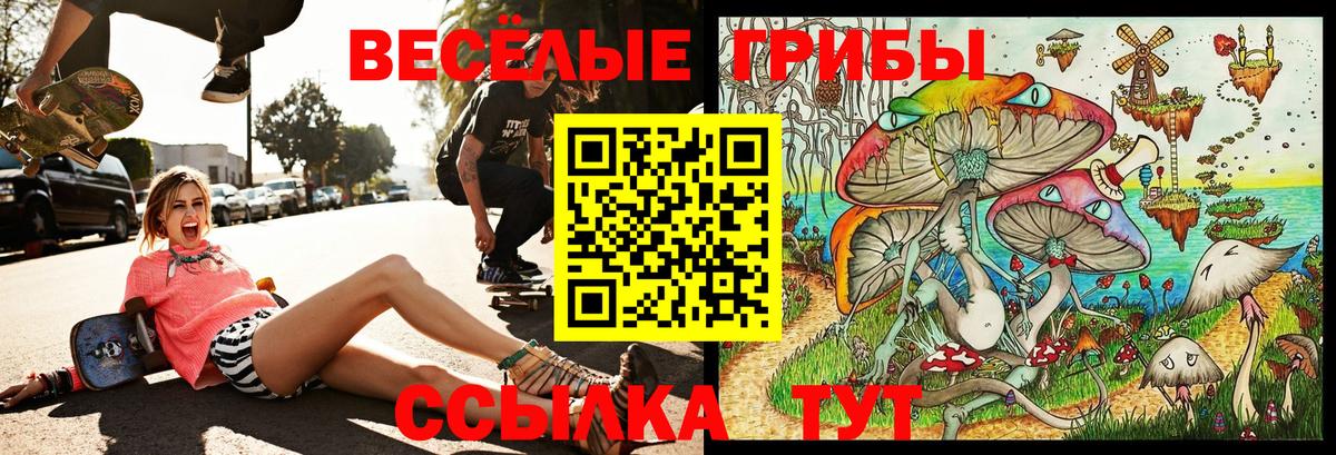 Галлюциногенные грибы прущие грибы Большой Камень