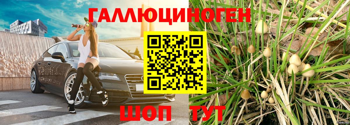 Псилоцибиновые грибы ЛСД  Вход с VPN  Большой Камень 